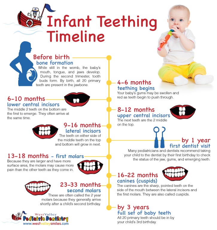 teething timeline